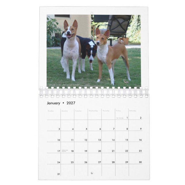 Basenjis av den Socal 2010 kalendern Kalender (Jan 2027)