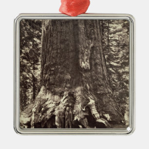 Basera av Grizzlyjätten, från 'den Yosemite boke Julgransprydnad Metall