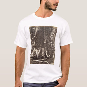 Basera av Grizzlyjätten, från 'den Yosemite boke Tee