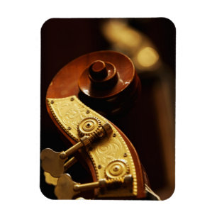 Basfiolheadstock 2 magnet