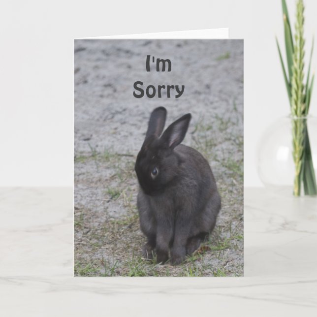 Bashful Bunny Rabbit Kort (Framsida)