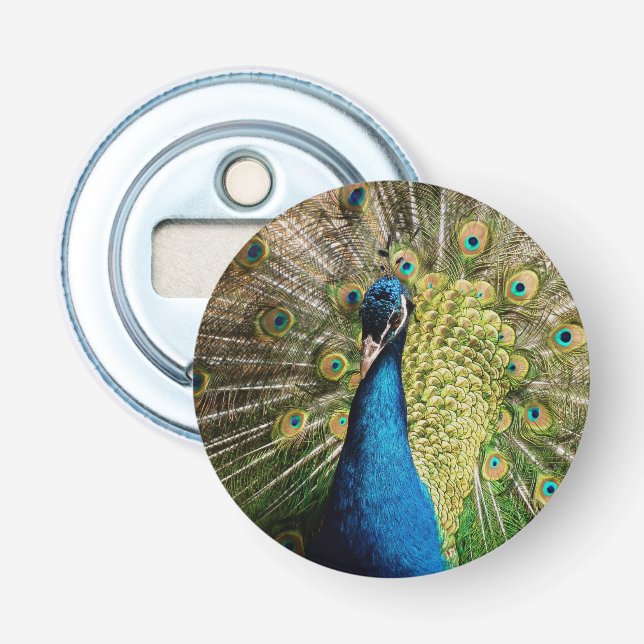 Bashful Peacock Flasköppnare (Framsidan)