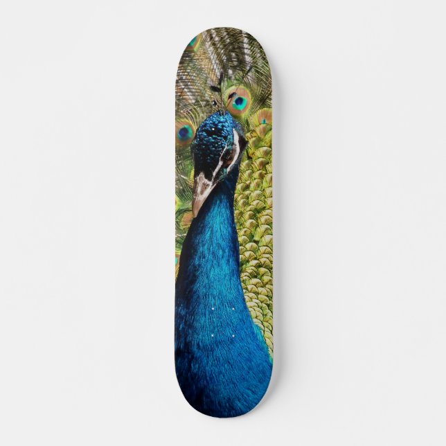 Bashful Peacock Mini Skateboard Bräda 18,5 Cm (Framsida)