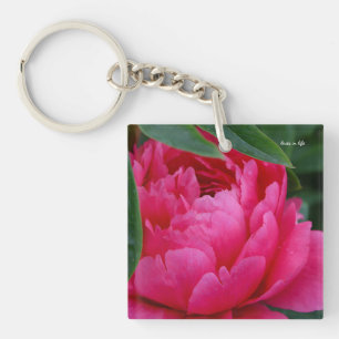 Bashful Rosa Peony