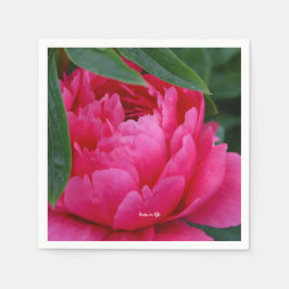 Bashful Rosa Peony Pappersservett