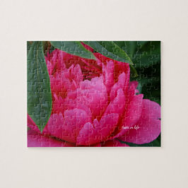 Bashful Rosa Peony Pussel