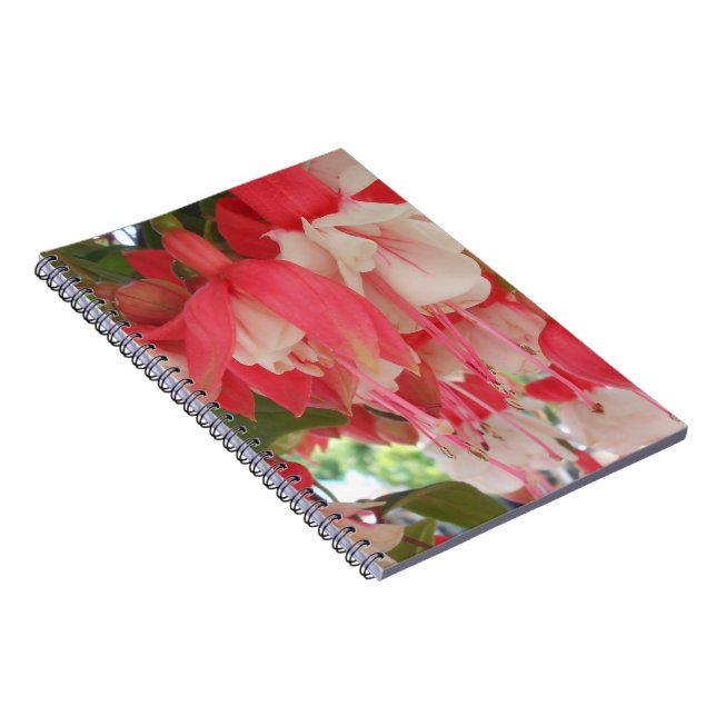 Bashkirtseff Anteckningsbok (Högra Sidan)