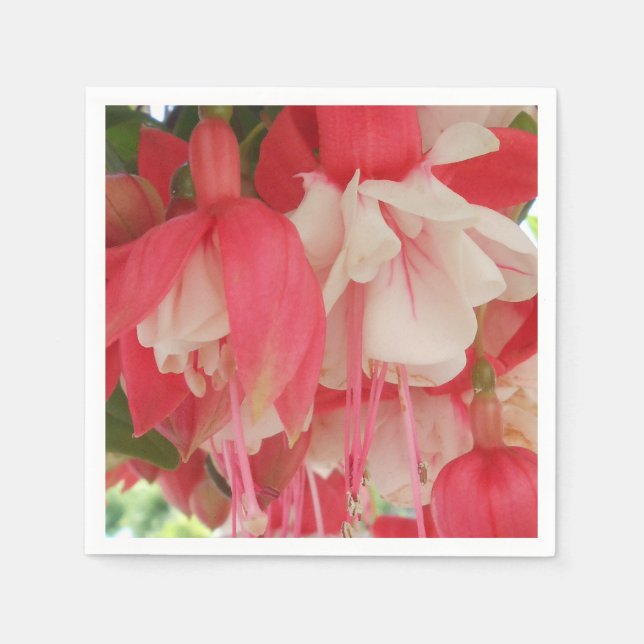 Bashkirtseff Pappersservett (Framsidan)