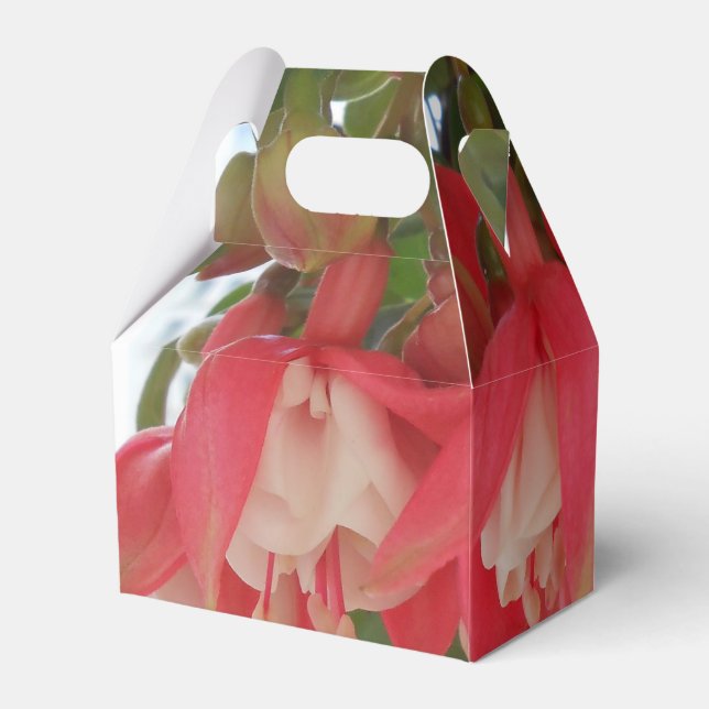 Bashkirtseff Presentaskar (Baksidan Sidan)