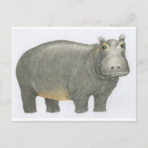 Basic Hippo Vykort