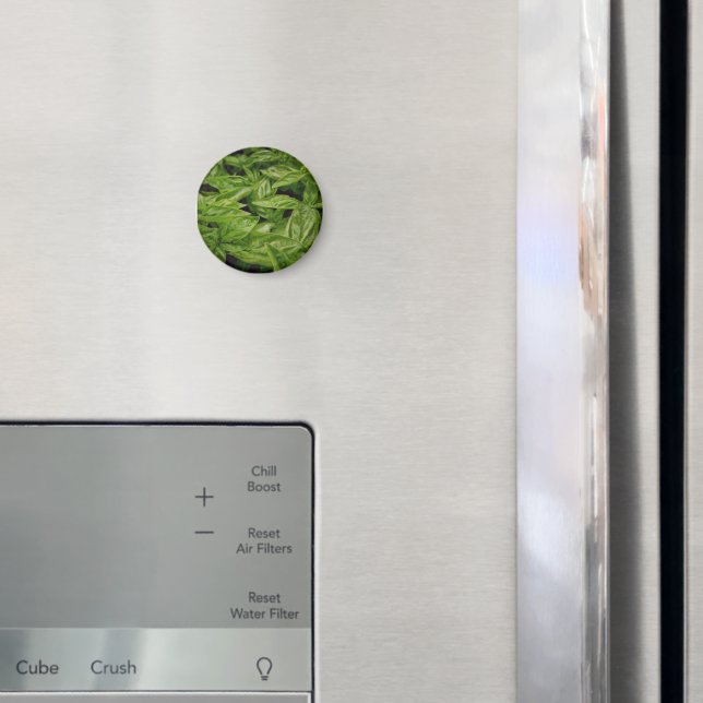 Basil anteckningsbok magnet (In Situ (Fridge))
