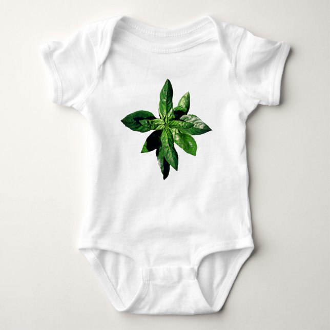 Basil Baby Bodykostym T Shirt (Framsida)