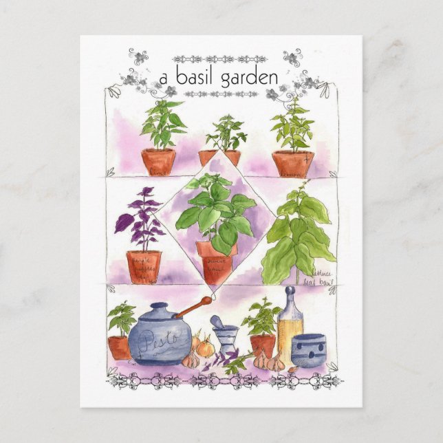 Basil Garden Watercolor Herb Art Pesto Vitlic Vykort (Framsida)