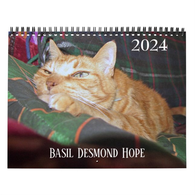Basil Ginger Cat Personlig Calendar 2024 Kalender (Omslag)