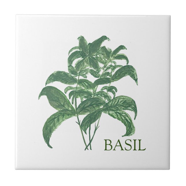 Basil Herb Greenery Kitchen Culinary Grönt Kakelplatta (Framsidan)