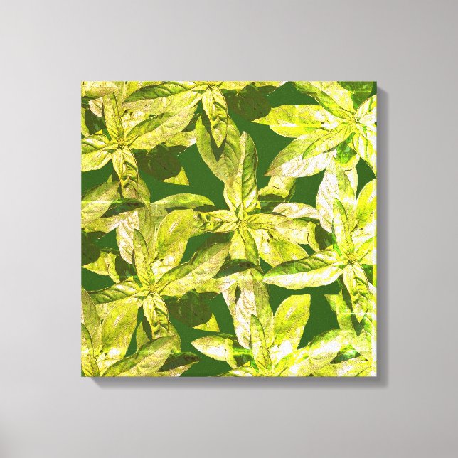 Basil Herb, Kitchen Art, Wrapped Canvas (Framsida)