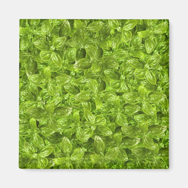 Basil Löv Mönster Magnet (Framsidan)