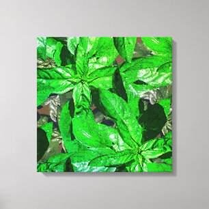Basil Löv Photo Art Wrapped Canvas