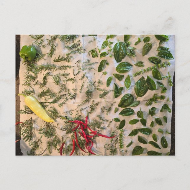 Basil och paprika vykort (Framsida)