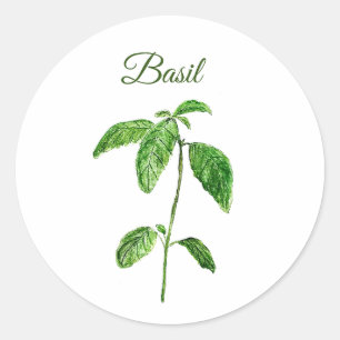 Basil Örter Watercolor Kitchen Grönt Rustic Runt Klistermärke