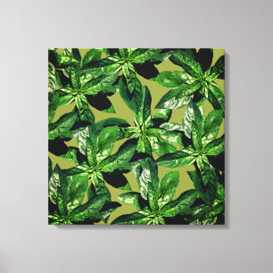 Basil Plant Photo Mönster Wrapped canvas
