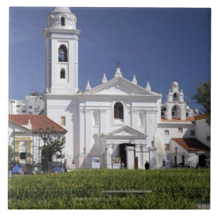 Basilica Nuestra Senora del Pilar i Recoleta Kakelplatta