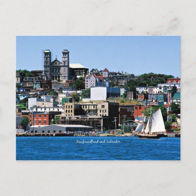 Basilica på Shoreline i St. John's Vykort (Framsida)