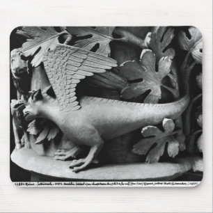 Basilisk Musmatta