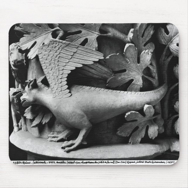 Basilisk Musmatta (Framsidan)