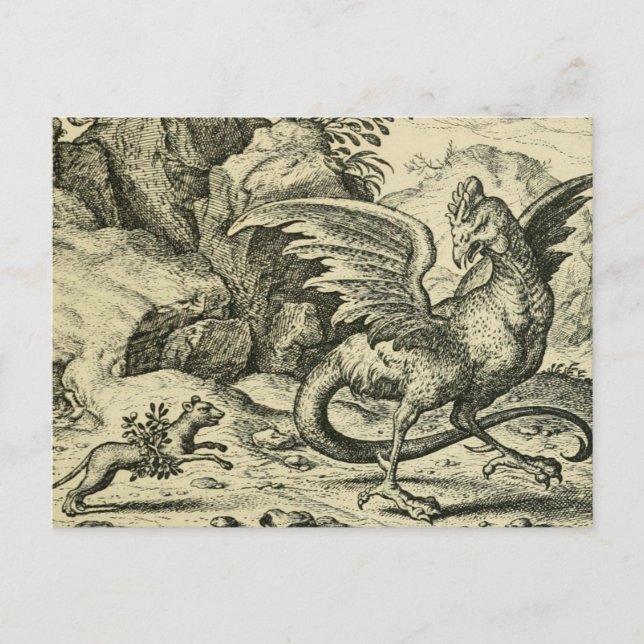 "Basilisken vs. Vesslan"  Vykort (Framsida)