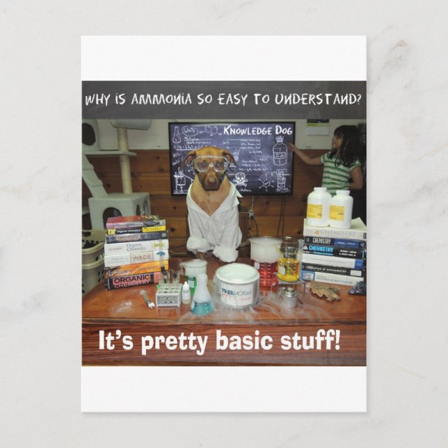 basisk ammoniak.jpg vykort (Framsida)