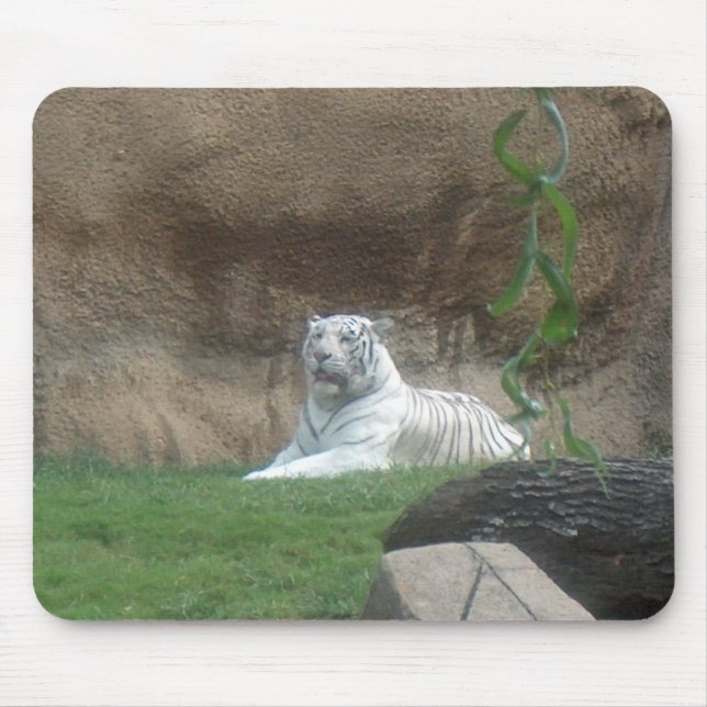 Bask White Tiger Musmatta (Framsidan)