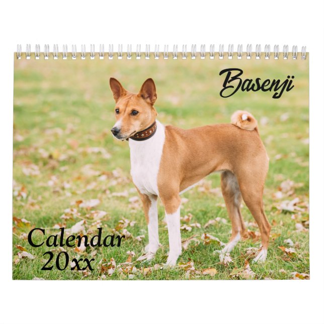 Baskenji Kalender 2026 (Omslag)