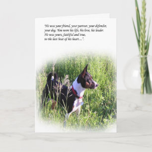 Baskenji Rainbow Bridge-kort Kort