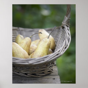 Basket av färska päron. poster