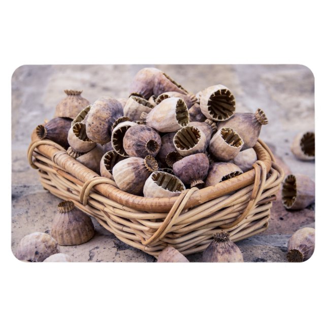 Basket av torkade vallmofrön av Pod Magnet (Horisontell)