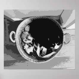 Basket Cat Poster