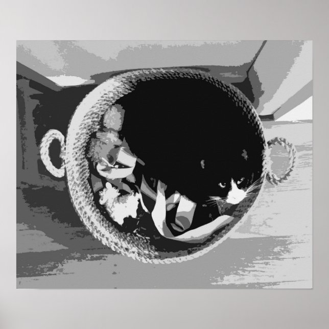 Basket Cat Poster (Framsidan)