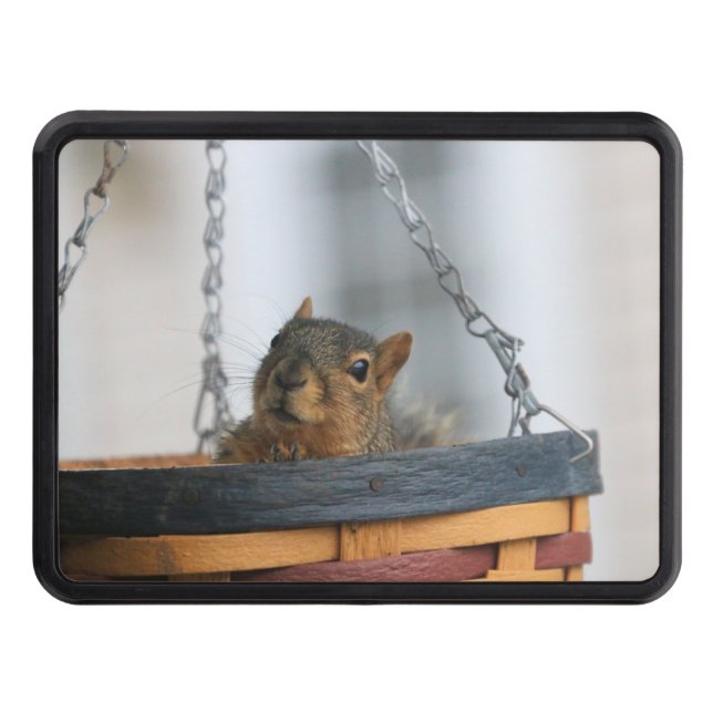 Basket fodral dragkroksskydd (Framsidan)