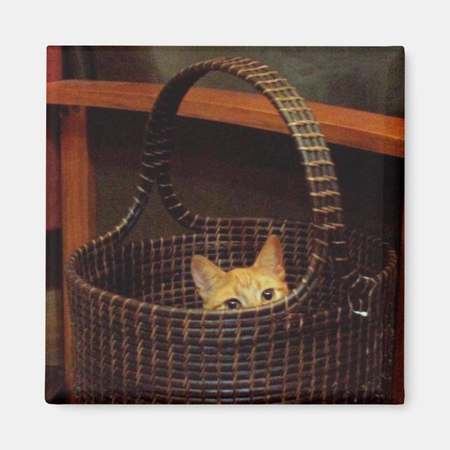 Basket Fodral Magnet (Framsidan)