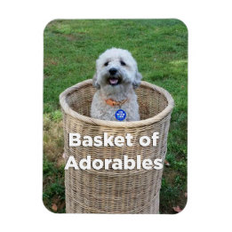 Basket i Adorables Adsible Hundar 4 Hillary Magnet