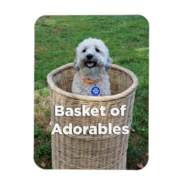 Basket i Adorables Adsible Hundar 4 Hillary Magnet