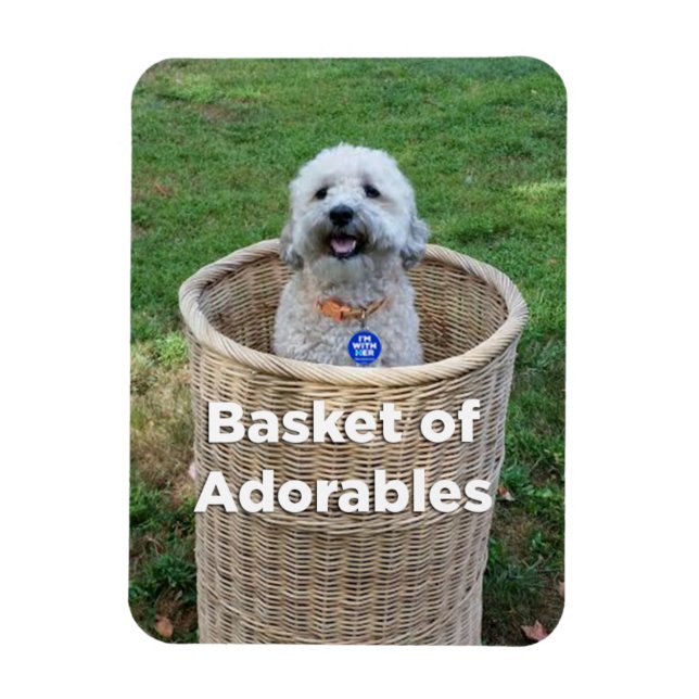 Basket i Adorables Adsible Hundar 4 Hillary Magnet (Vertikal)