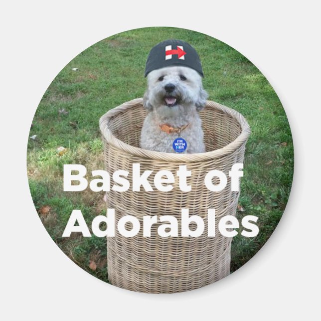 Basket i Adorables: Hundar för Hillary Mag Magnet (Framsidan)