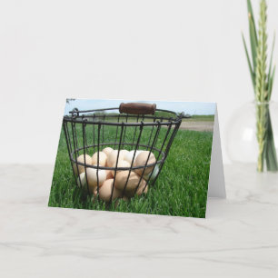 Basket i ägg kort