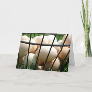 Basket i ägg kort