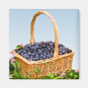 Basket i blåbär magnet