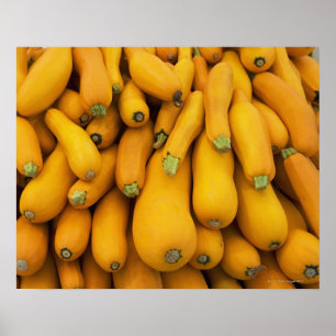 Basket i gult zucchini poster