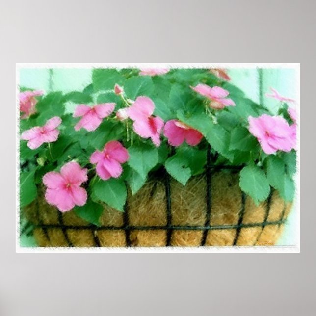 Basket i Impatiens Poster (Framsidan)