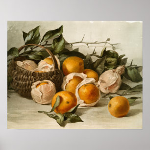 BASKET i ORANGAR Poster